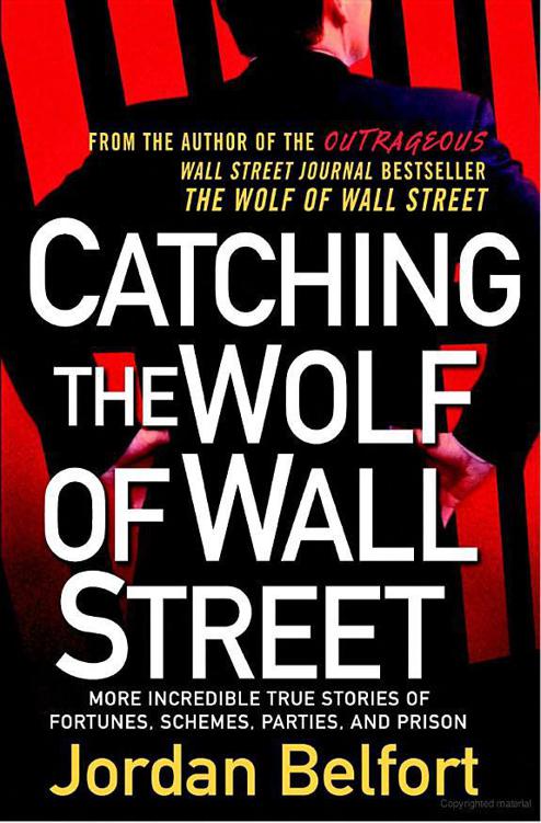 Catching the Wolf of Wall Street: More Incredible True Stories of Fortunes, Schemes, Parties, and Prison