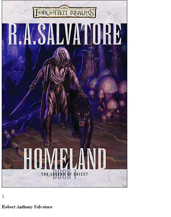 Salvatore, R.A - Dark Elf Trilogy 01 - Homeland