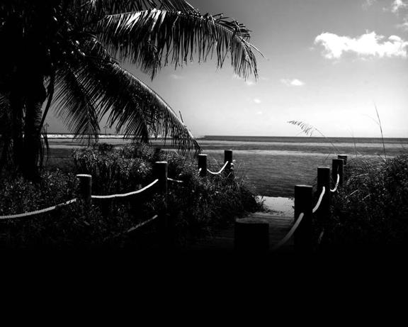 Woods, Stuart - Stone Barrington 16 - Loitering With Intent