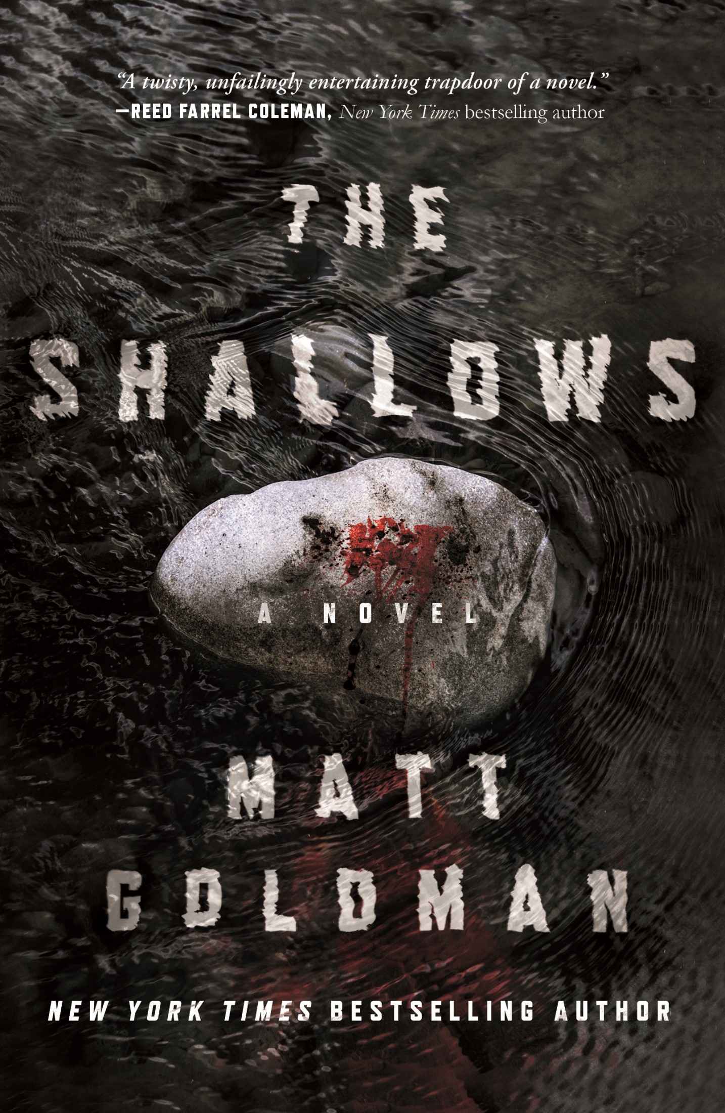 Goldman, Matt - The Shallows: A Nils Shapiro Novel