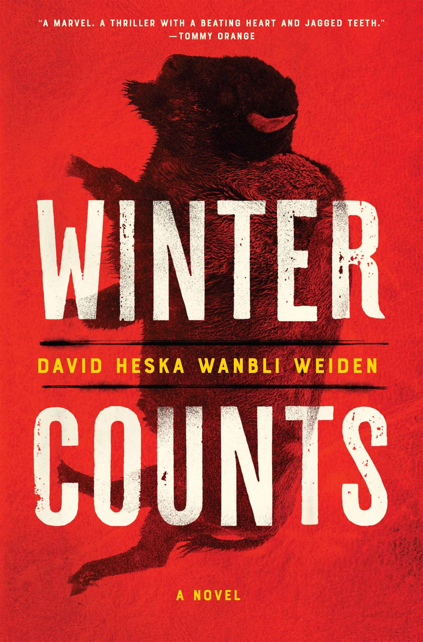 Weiden, David - Winter Counts