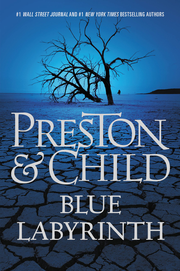 Preston, Douglas - Blue Labyrinth