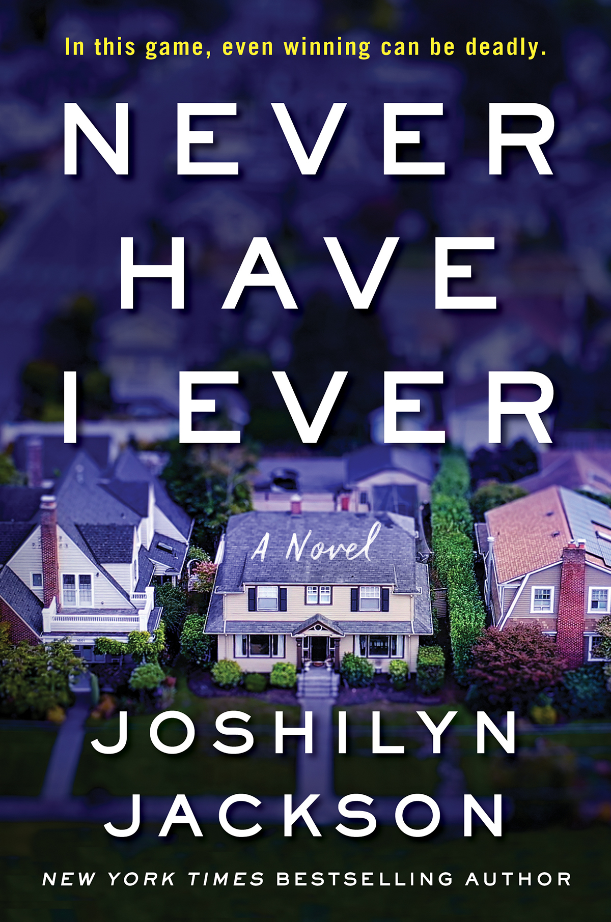 Jackson, Joshilyn - Never Have I Ever