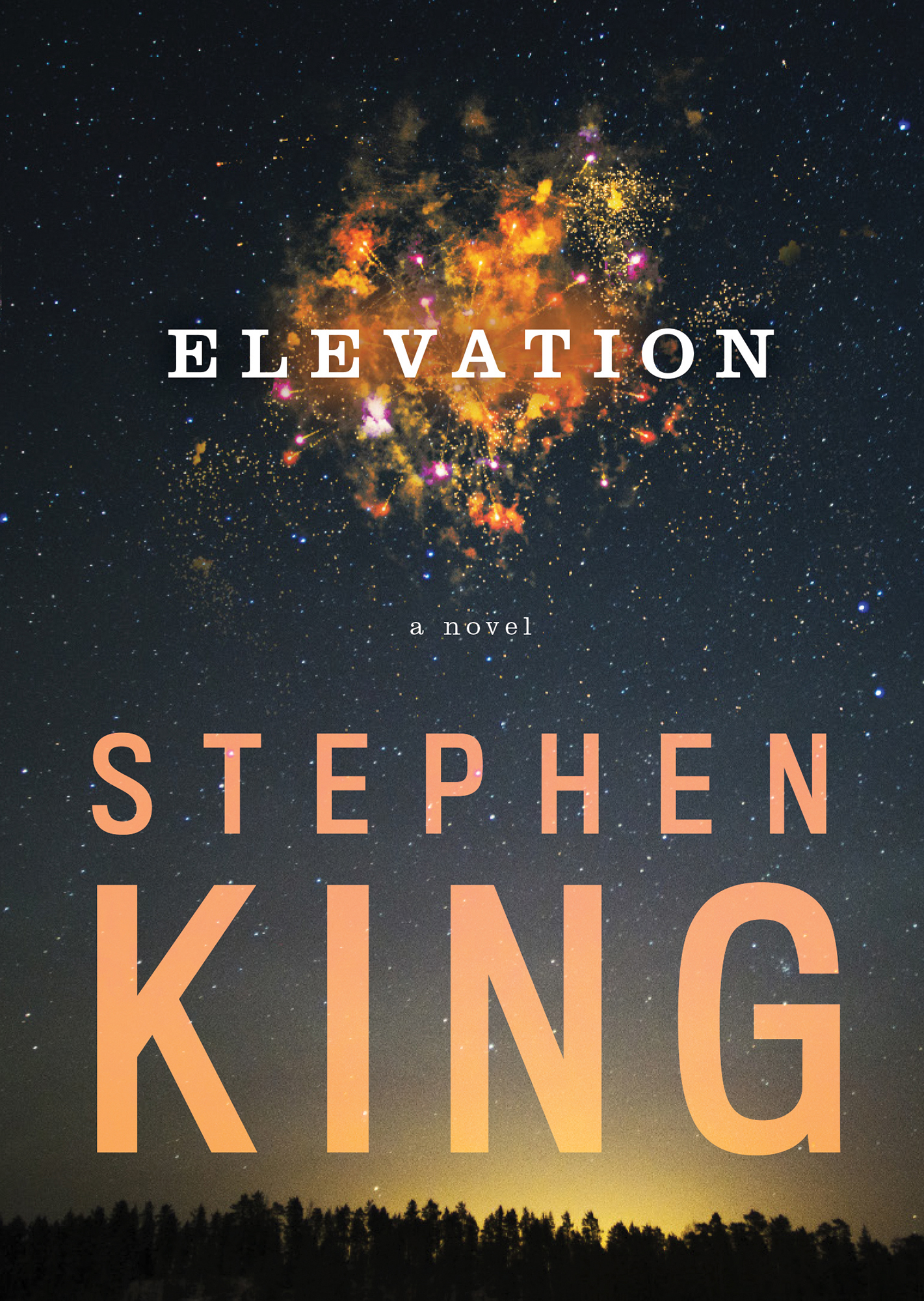 King, Stephen - Elevation