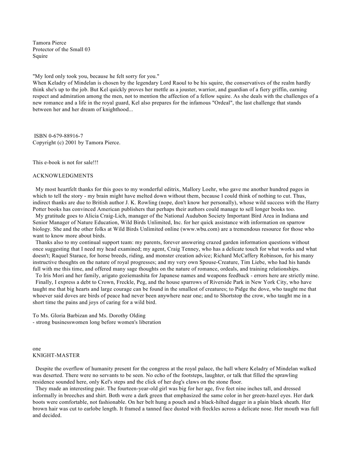 Pierce, Tamora - Protector 03