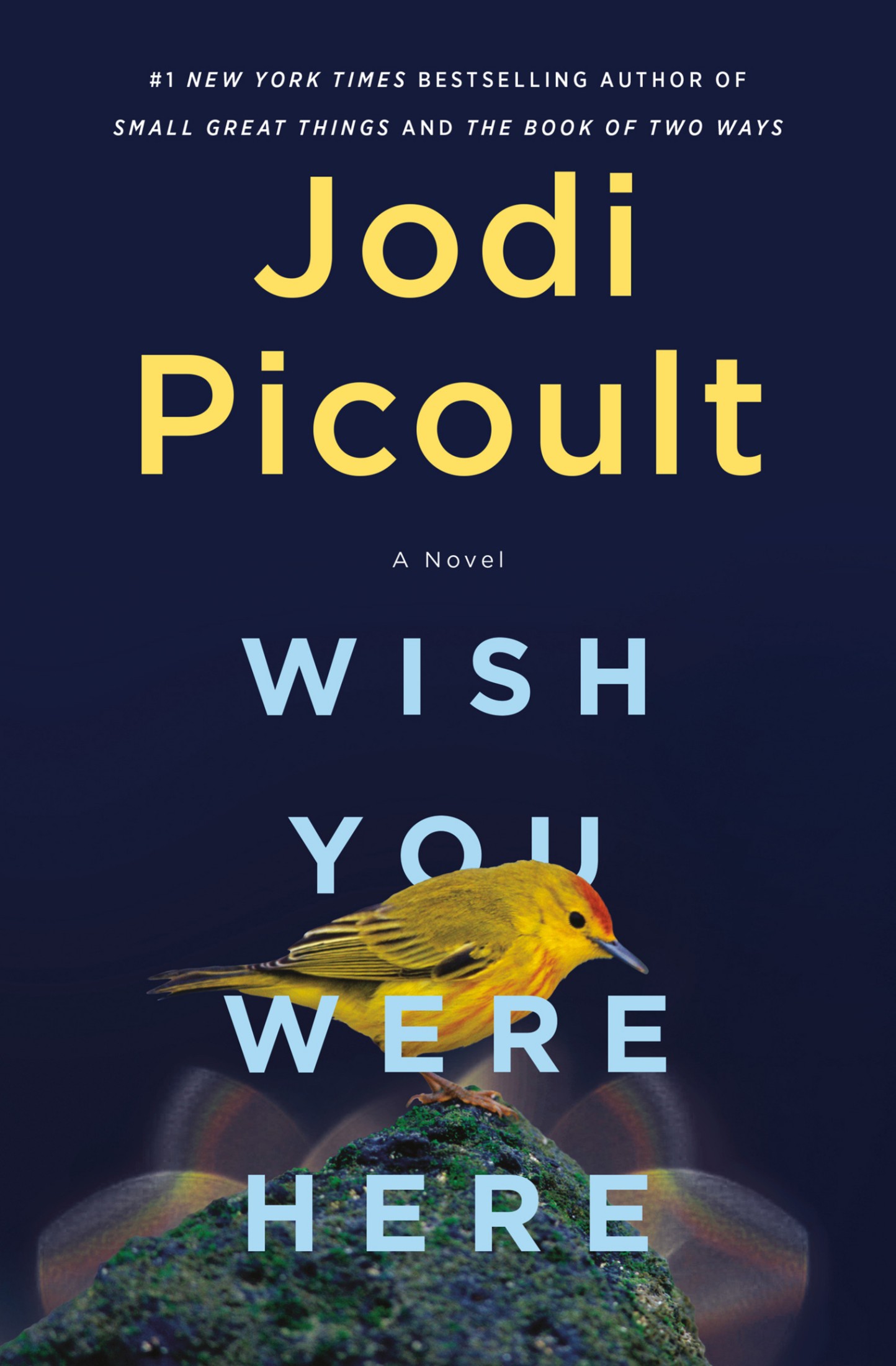 Picoult, Jodi - Wish You Were Here: A Novel