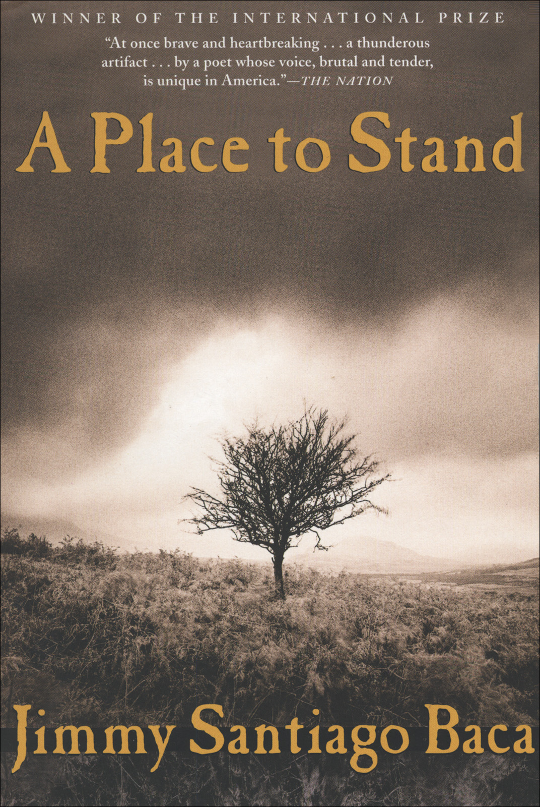 Baca, Jimmy Santiago - A Place to Stand