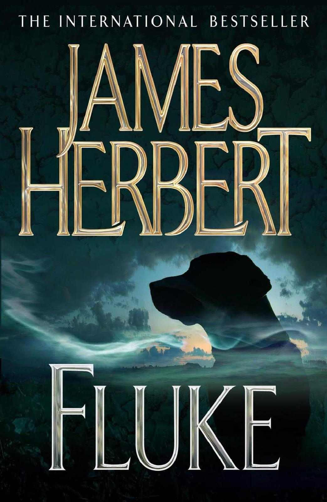 Herbert, James - Fluke
