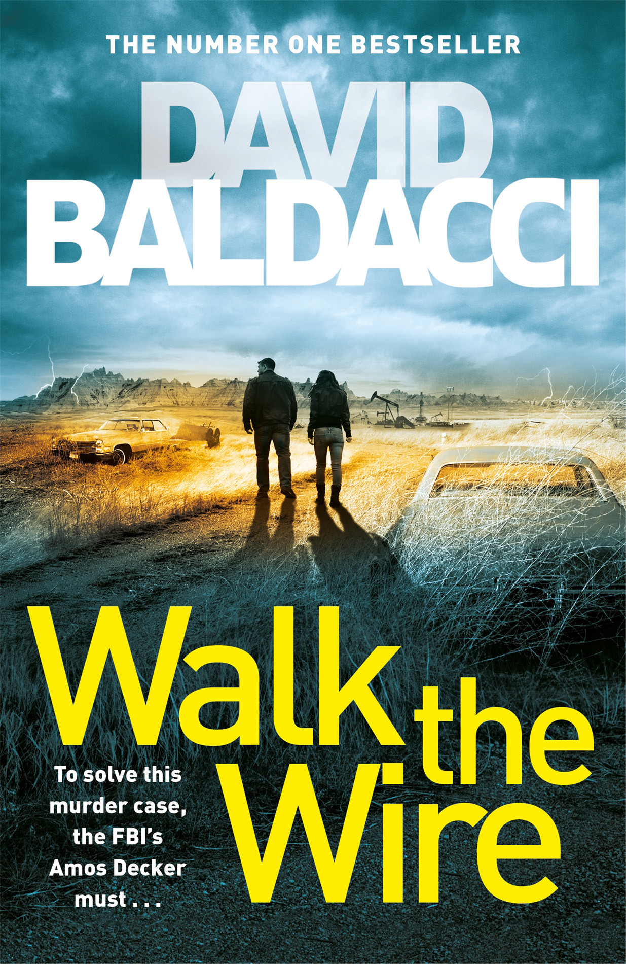 Baldacci, David - Walk the Wire