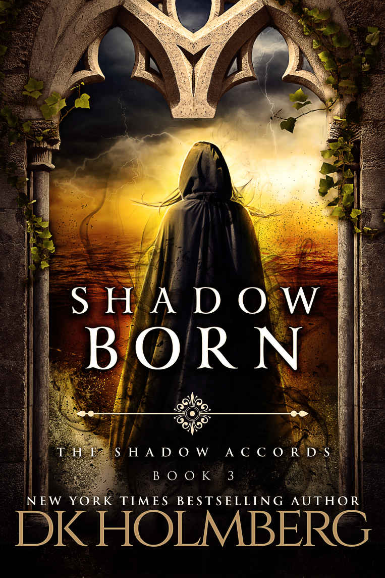 Holmberg, D K - The Shadow Accords 03 - Shadow Born