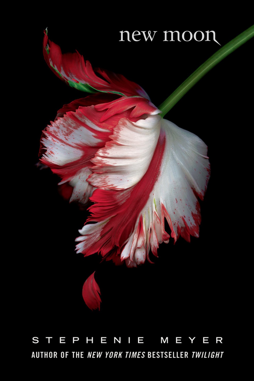 Meyer, Stephenie - Twilight 02 - New Moon