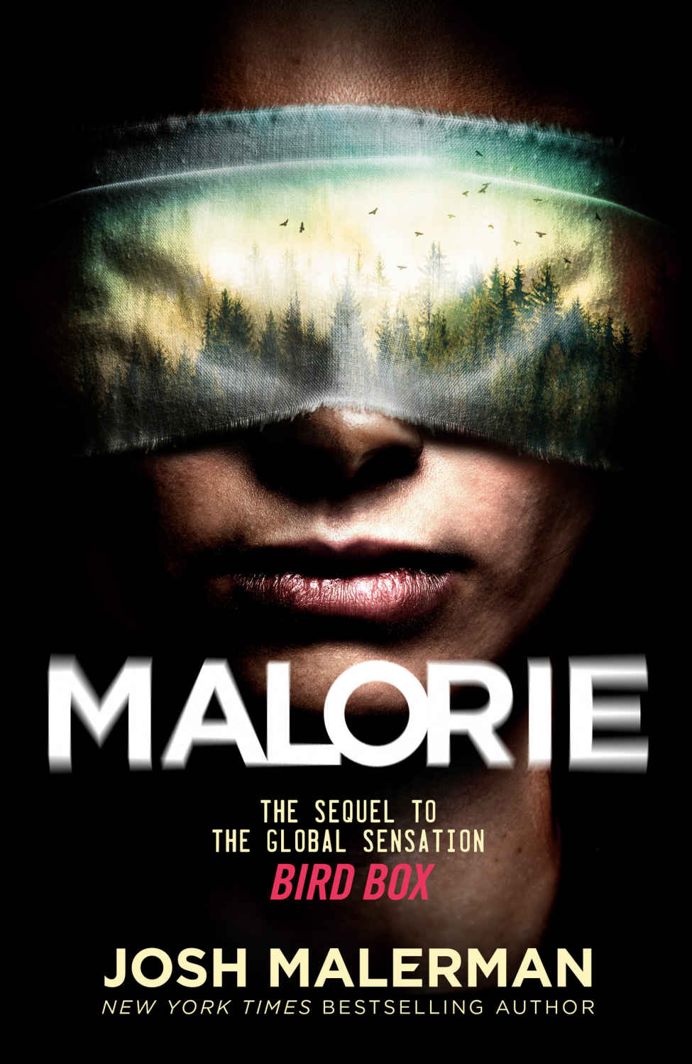Malerman, Josh - Bird Box 02 - Malorie