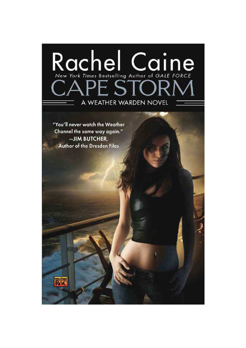 Weather Warden 08 - Cape Storm