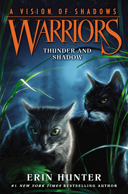 Hunter, Erin - Warriors: A Vision of Shadows 02 - Thunder and Shadow