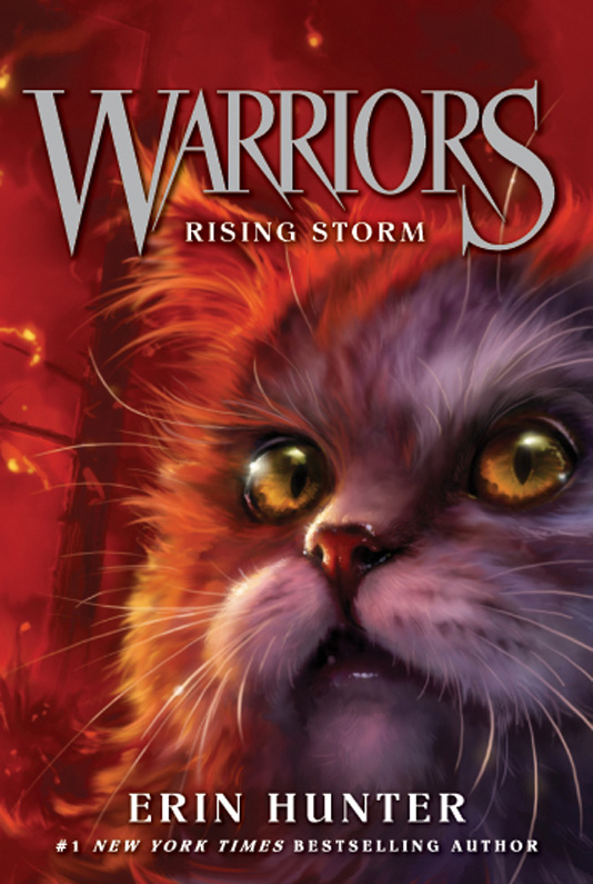 Hunter, Erin - Warriors: The Prophecies Begin 04 - Rising Storm